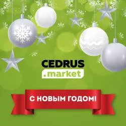 С наступающим Новым годом и Рождеством! С наступающим Новым годом и Рождеством!